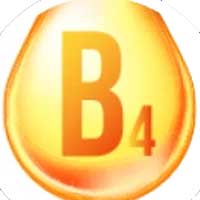 Choline